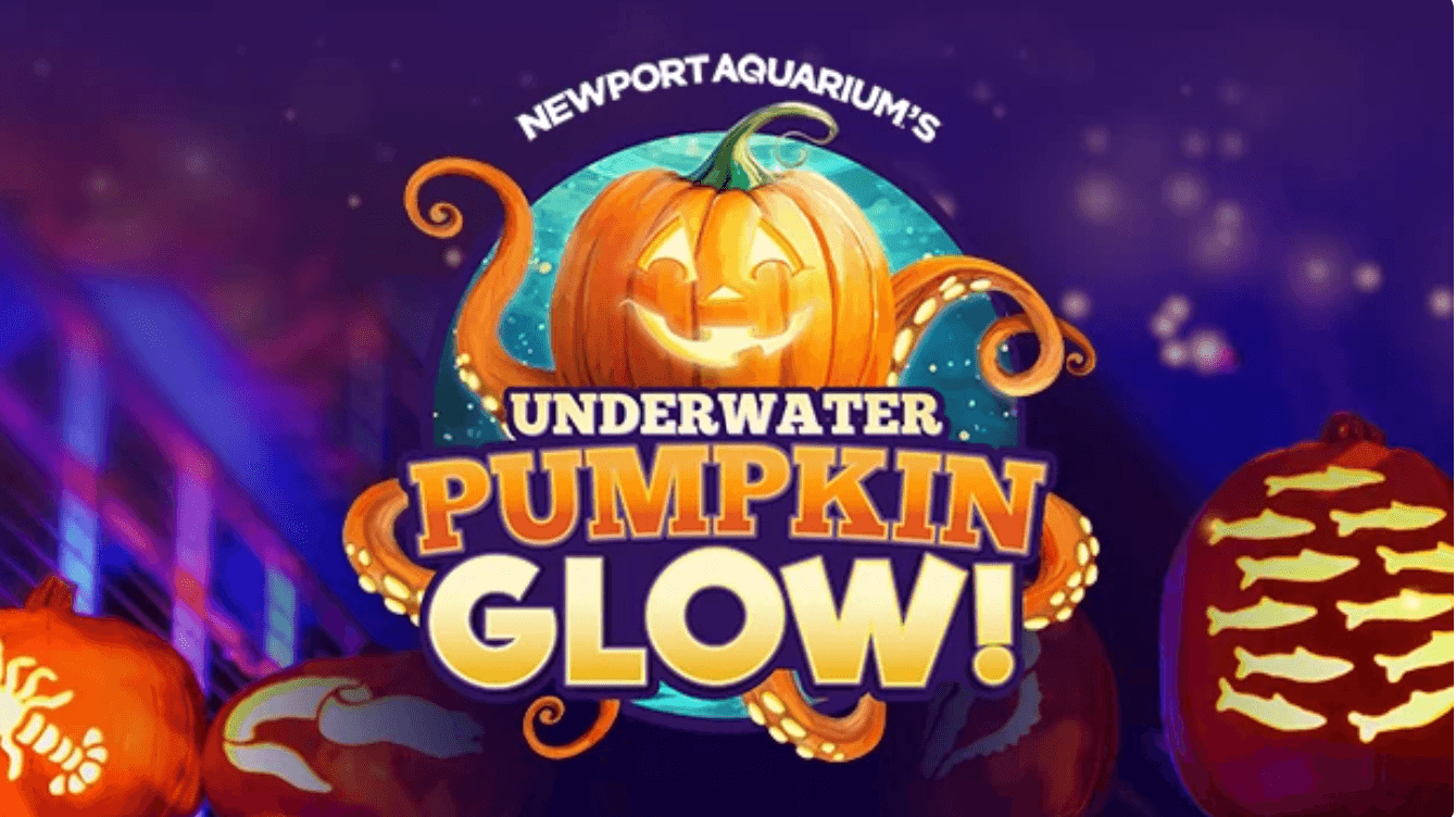 Underwater Pumpkin Glow at Newport Aquarium
