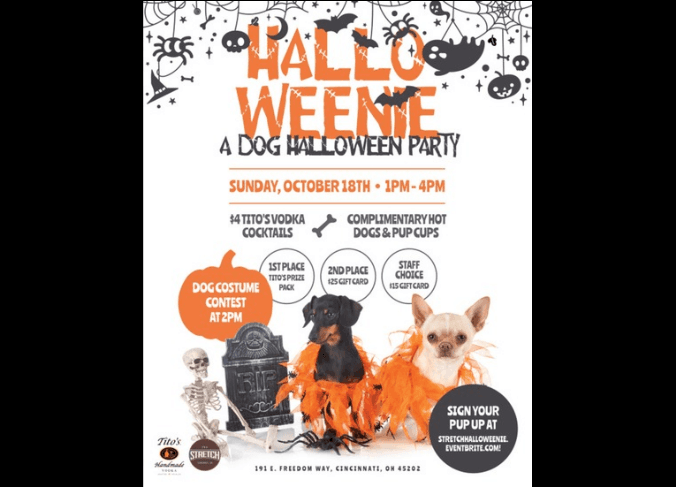 Halloweenie: A Dog Halloween Party
