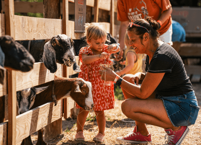 Fall on the Farm at Blooms & Berries Farm Market