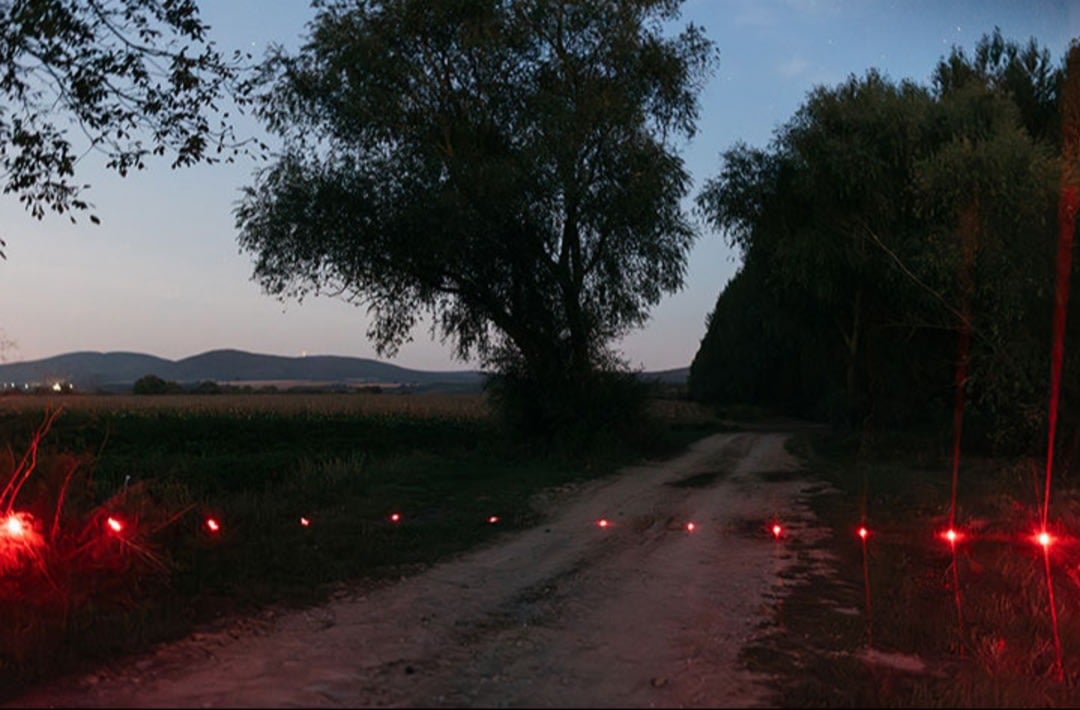 Long Exposure: Recent Work by Alumni of College of Design, Architecture, Art and Planning Fine Art Photography Program